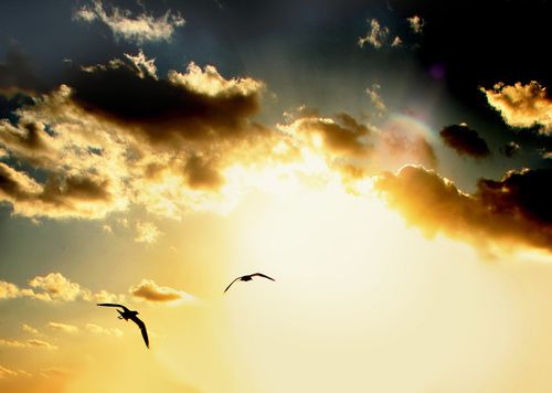 时光曾经存在的印记_WWW.TQQA.COM