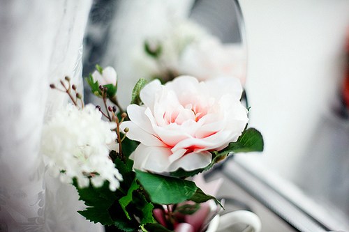 执笔在这一世光年，与你书三世繁花_WWW.TQQA.COM