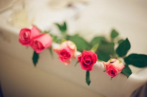 莫怪花太貪，只因花事未了，情未了 优美花朵小_WWW.TQQA.COM