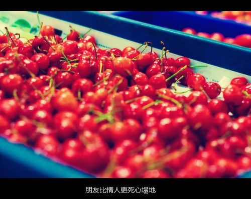 你对于我，就像一个宿命_WWW.TQQA.COM