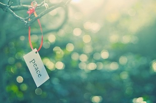 我一直在坚持着自己最好的样子-小清新图片_WWW.TQQA.COM