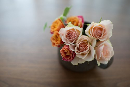 一个人过，只要心态好，那就是一种幸福_WWW.TQQA.COM