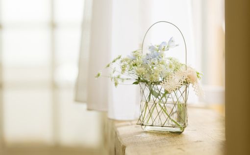 漂亮、安静、精致的小东西_WWW.TQQA.COM