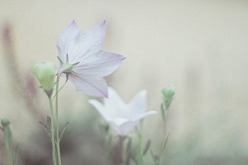 一个人过，只要心态好，那就是一种幸福_WWW.TQQA.COM