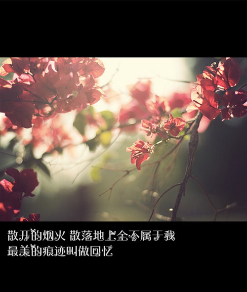微笑向前看，不记来时路  唯美图片带字_WWW.TQQA.COM