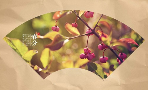 关于春分的一组唯美中国风美图欣赏_WWW.TQQA.COM