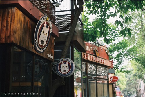 想要最好，就一定会给你最痛的过程 小清新图片_WWW.TQQA.COM