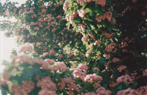 执笔在这一世光年，与你书三世繁花_WWW.TQQA.COM