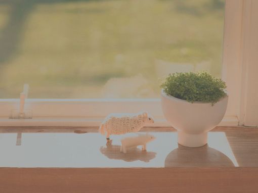 生活是人间在繁华的演出_WWW.TQQA.COM