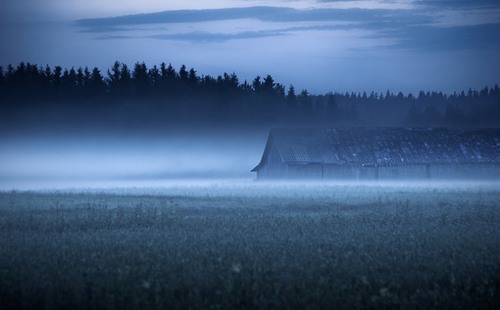 迷雾森林  唯美森林小清新图片_WWW.TQQA.COM