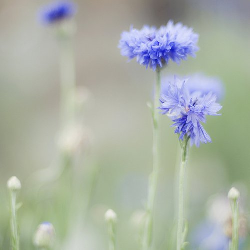 出发，才能到达_WWW.TQQA.COM