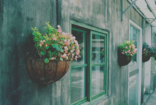 生活是人间在繁华的演出_WWW.TQQA.COM