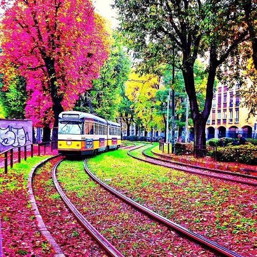 花香已满径 开满鲜花的路_WWW.TQQA.COM