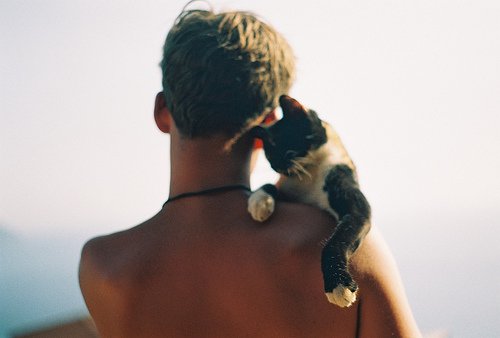 美图：爱猫的人都有一个细腻的灵魂_WWW.TQQA.COM