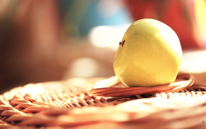 每天必备的苹果小清新美图_WWW.TQQA.COM