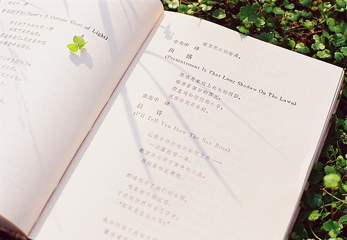 生命短暂，何苦重复昨天_花草静物小清新lomo图片_WWW.TQQA.COM