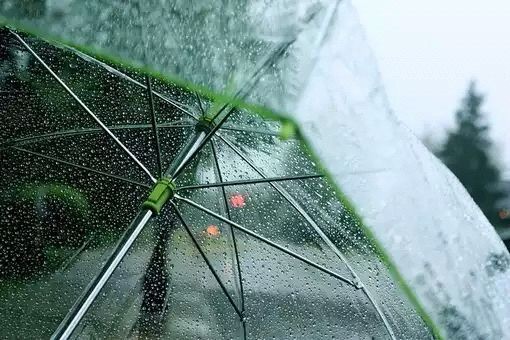 意境又唯美的下雨天的雨伞小清新图片分享_WWW.TQQA.COM