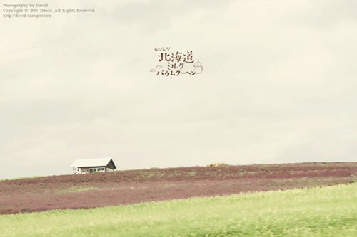 北海道日系小清新摄影图片分享_WWW.TQQA.COM
