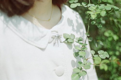 当我们远离了言语与是非_WWW.TQQA.COM