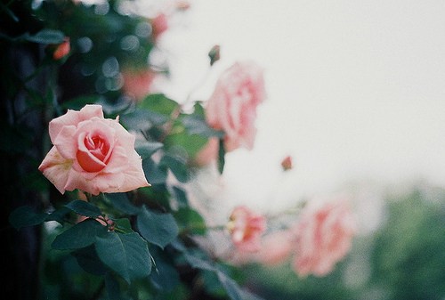 执笔在这一世光年，与你书三世繁花_WWW.TQQA.COM