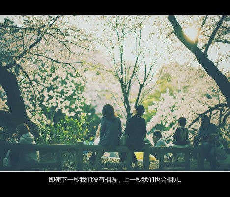 到哪里找那么好的人 -小清新_WWW.TQQA.COM