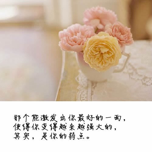 我們的相逢中，天意常在 小清新文字图片_WWW.TQQA.COM
