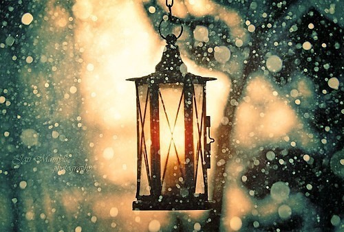 这个冬天 只剩我一个的兵荒马乱 好看的雪景小清_WWW.TQQA.COM