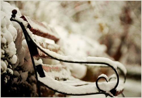 你好，冬天 唯美雪景图片_WWW.TQQA.COM