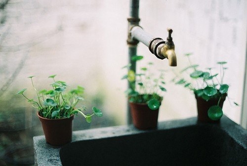 唯美写意的小清新图片量贩_WWW.TQQA.COM