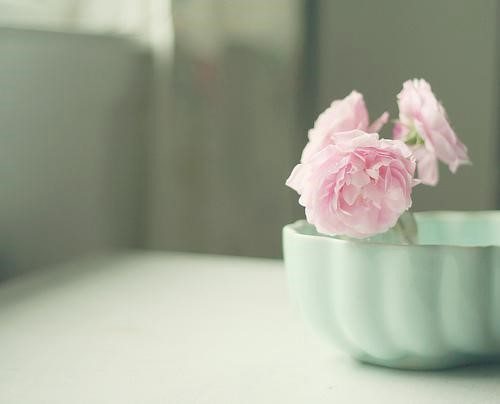 唯一靠得住的还是自己 唯美花朵治愈系图片_WWW.TQQA.COM