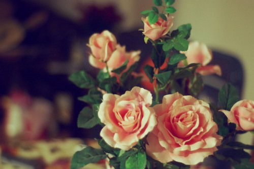 执笔在这一世光年，与你书三世繁花_WWW.TQQA.COM