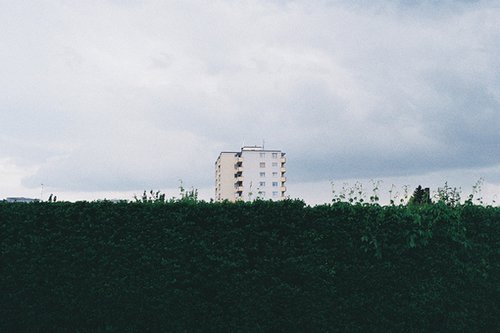 往事不过就像一场无言的秋红_WWW.TQQA.COM