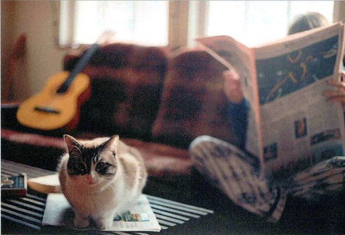 这份美丽，只是刹那_WWW.TQQA.COM