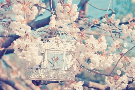 梵花劫_WWW.TQQA.COM