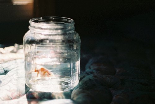 一万个美丽的未来，抵不上一个温暖的现在_WWW.TQQA.COM