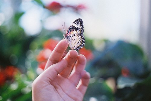 青春里飞过一只小蝴蝶_lomo_WWW.TQQA.COM