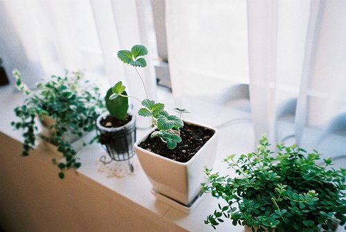 美好的事物，总是会令人感到虚无_WWW.TQQA.COM