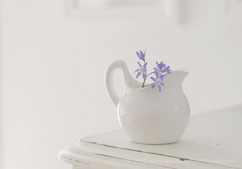 如花期一期一会，活在当下_WWW.TQQA.COM