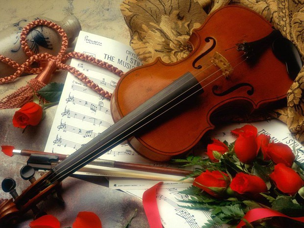 优美而典雅的小提琴高清图片_WWW.TQQA.COM