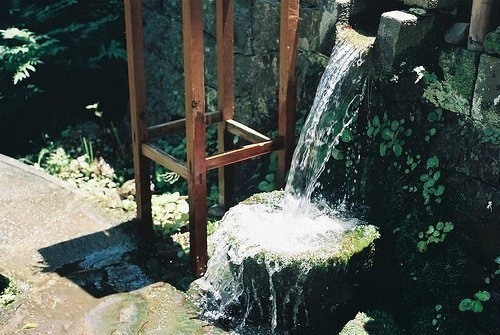 每张小清新图片都透露着夏天的味道，你闻到了_WWW.TQQA.COM