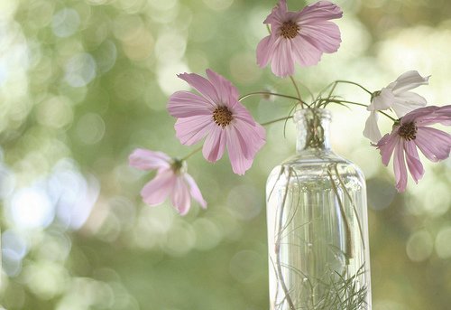 活着，就是幸福_WWW.TQQA.COM