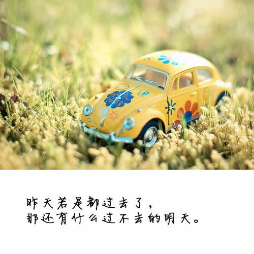我們的相逢中，天意常在 小清新文字图片_WWW.TQQA.COM