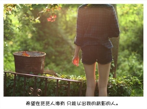 我用阳光洒你笑脸，你用雨露润我心田_WWW.TQQA.COM