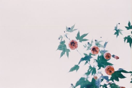 残存在记忆里的味道_WWW.TQQA.COM