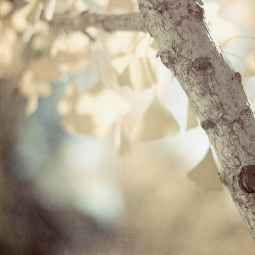 快乐是自己创造出来的 治愈系lomo图片_WWW.TQQA.COM