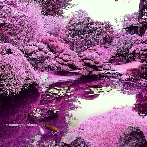 想要和你一起去看花海 唯美花朵小清新图片_WWW.TQQA.COM