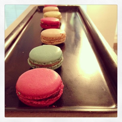 Macaron才是甜品界的上流名媛_WWW.TQQA.COM