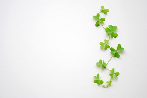 它会连成一条幸福的直线 -日系_WWW.TQQA.COM