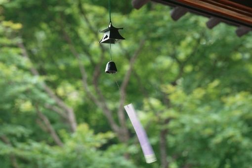 随风低吟浅唱，一切云淡风轻_WWW.TQQA.COM