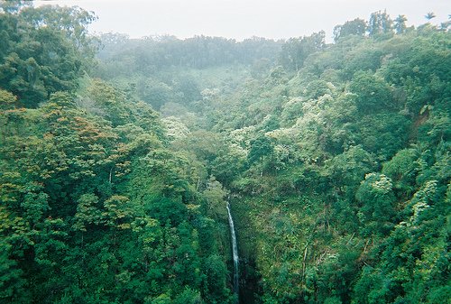 一起回到大自然中去吧_WWW.TQQA.COM